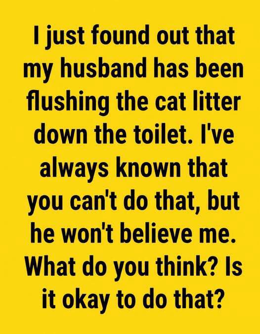 6 Things To Avoid Flushing Down The Toilet (And How to Keep Your Plumbing Happy)
