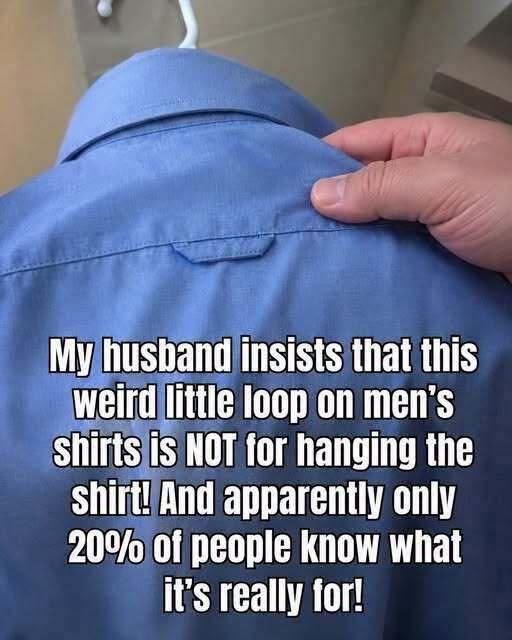 The Hidden Purpose Behind the Small Loop on the Back of Your Shirt