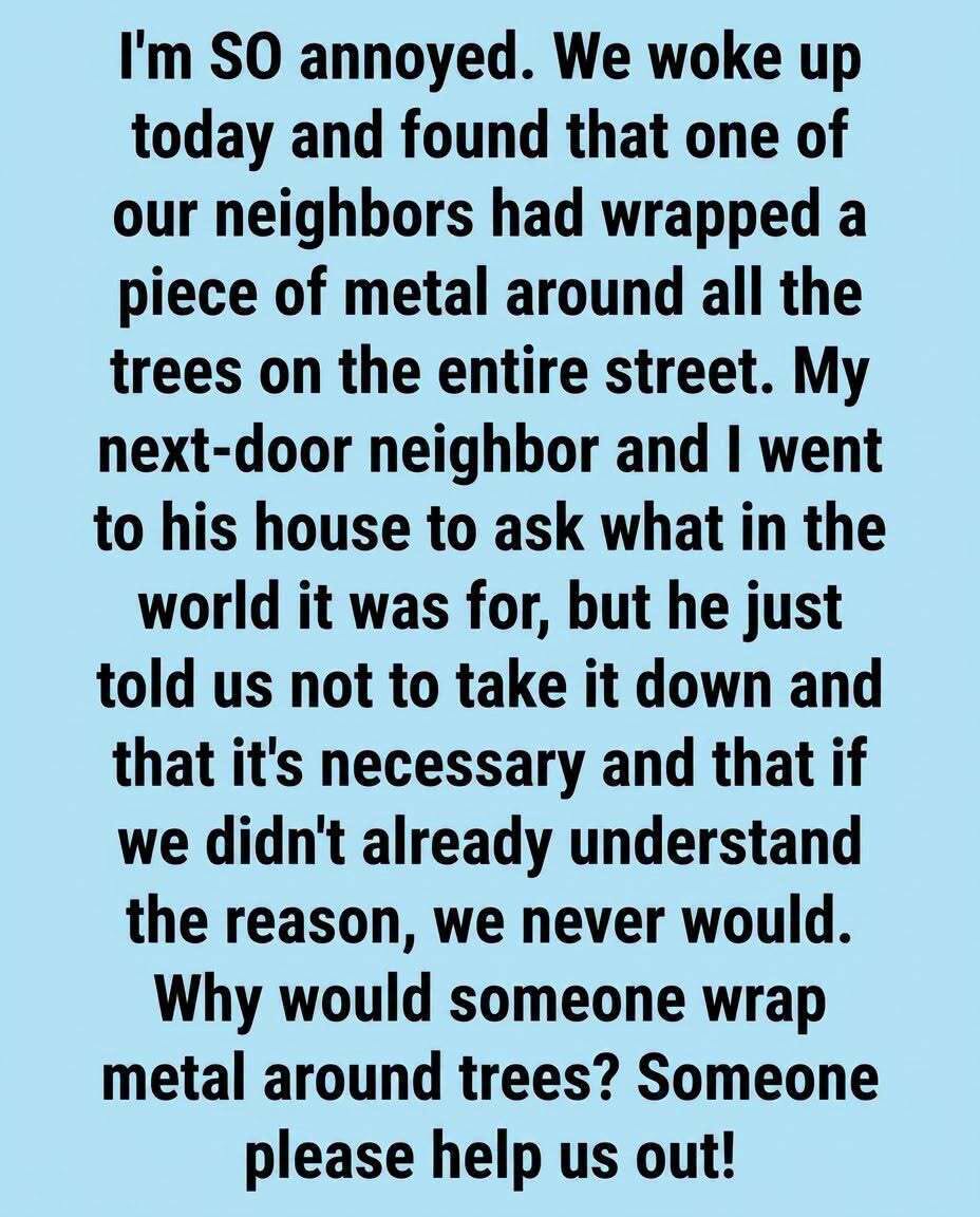 The Hidden Purpose: Why People Wrap Metal Bands Around Tree Trunks