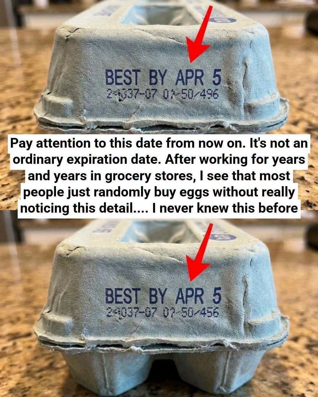 The Hidden Meaning Behind the Numbers on Your Egg Carton and Why They Matter