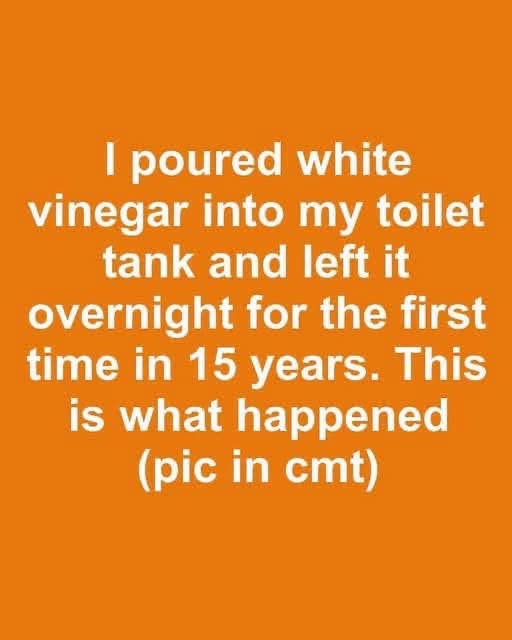 I poured white vinegar into my toilet tank and left it overnight for the first time in 15 years. This is what happened
