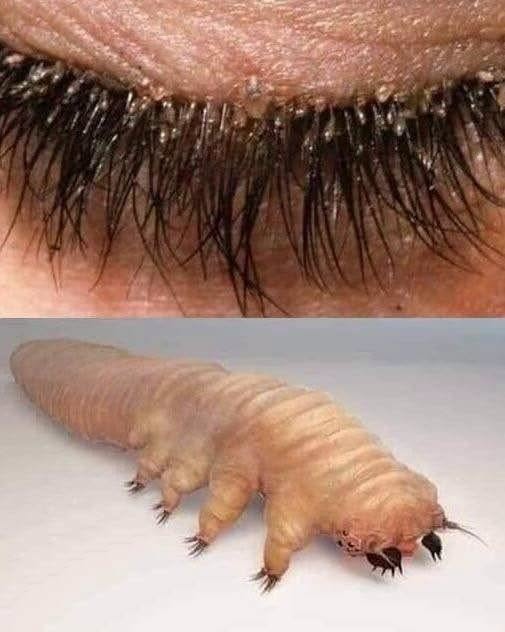 These are the consequences of sleeping with thes… See more