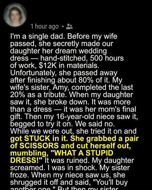 My Niece Destroyed the Wedding Dress My Late Wife Made for Our Daughter – She Was Quickly Brought Back Down to Earth