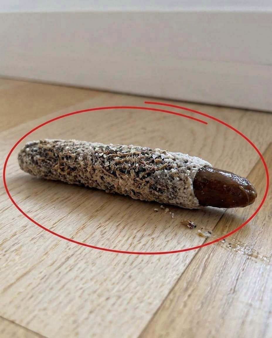I Found a Tiny Strange Object on My Floor — Then I Discovered the Fascinating Story Behind It