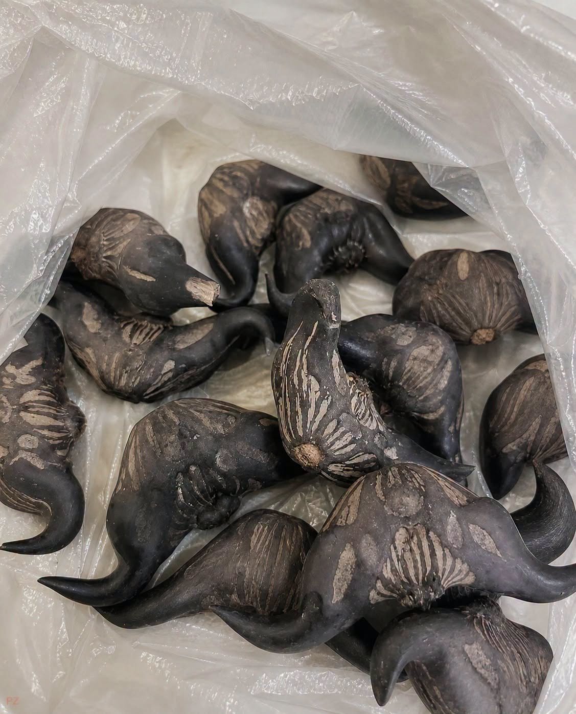 My neighbor gave me a bag of theses anyone know what they are? How do you eat them?