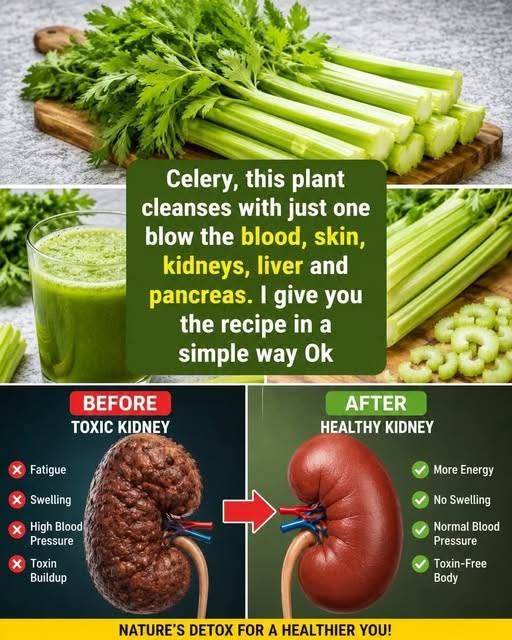 This plant can cleanse your blood, skin, kidneys, liver, and pancreas all at once—but only if you use it the right way. To keep receiving my recipes, just leave a comment… Thank you!