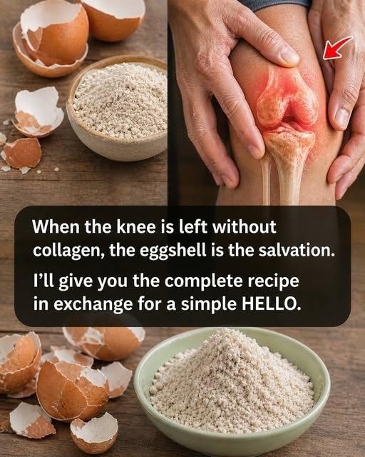 When your knee loses collagen, eggshells are a lifesaver.