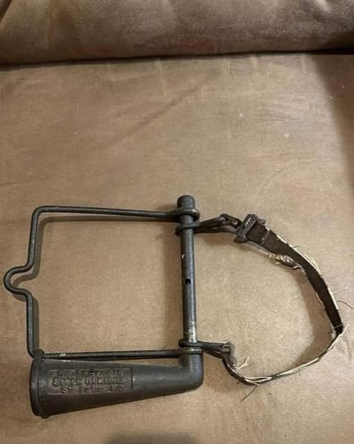 Can You Identify This Brass Beauty? The Fascinating History of the Antique Horse Drencher