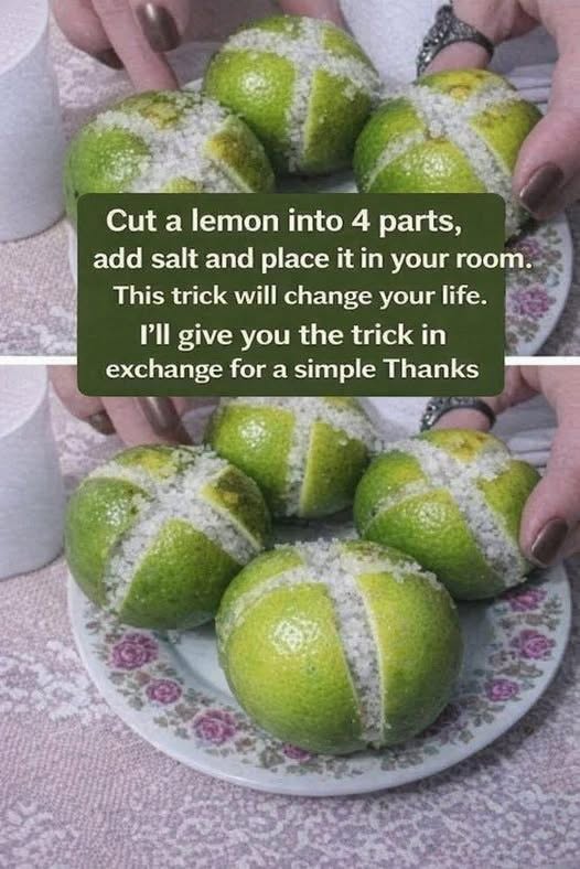 Lemon Salt Room Freshener Bowl