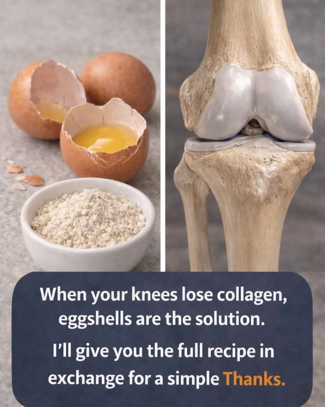 Eggshells for Knee Collagen? Here’s the Truth You Need to Know