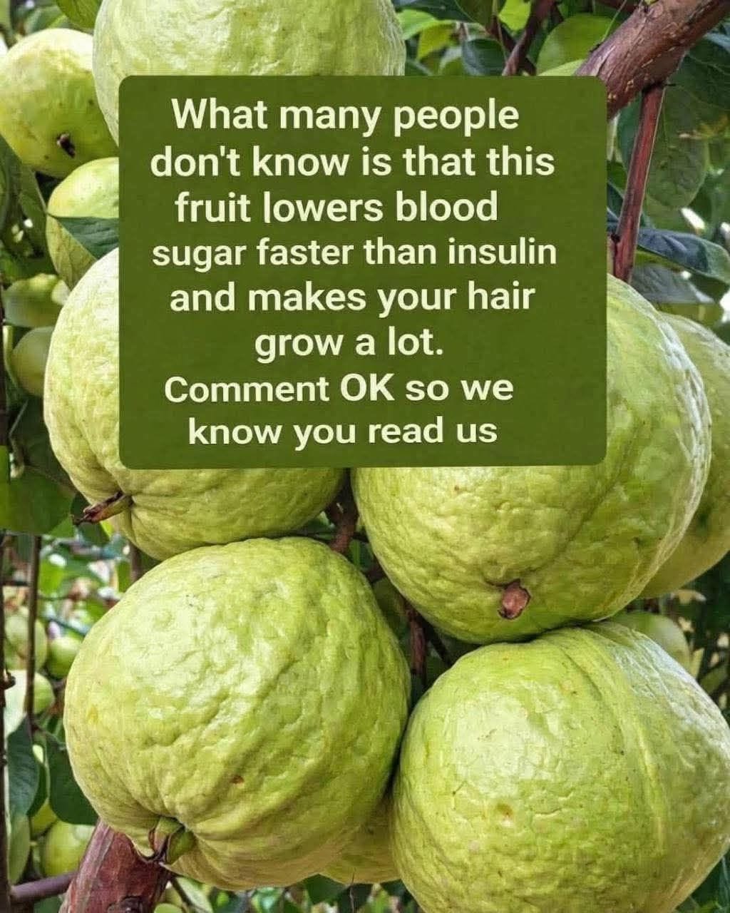 Guava Fruit Benefits: A Natural Boost for Blood Sugar Balance and Hair Growth