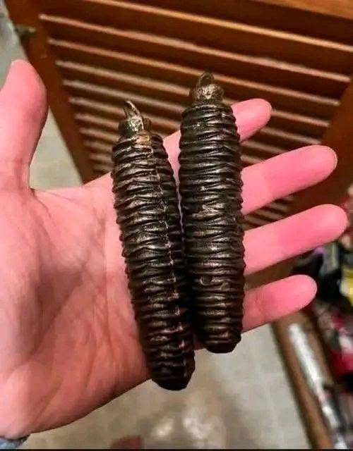 No, These Aren’t Christmas Decorations: The Strange Objects Found Inside an Old Family Home