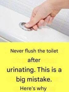  Why Is It Extremely Important Not to Flush the Toilet After Every Urination? 