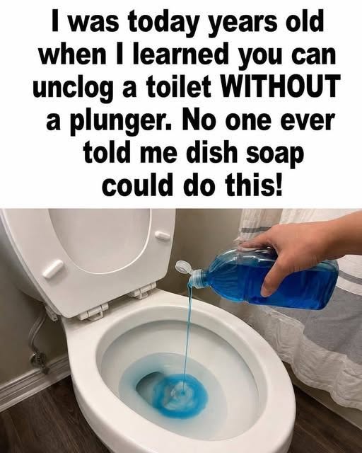 How To Unclog A Toilet Without Using A Plunger