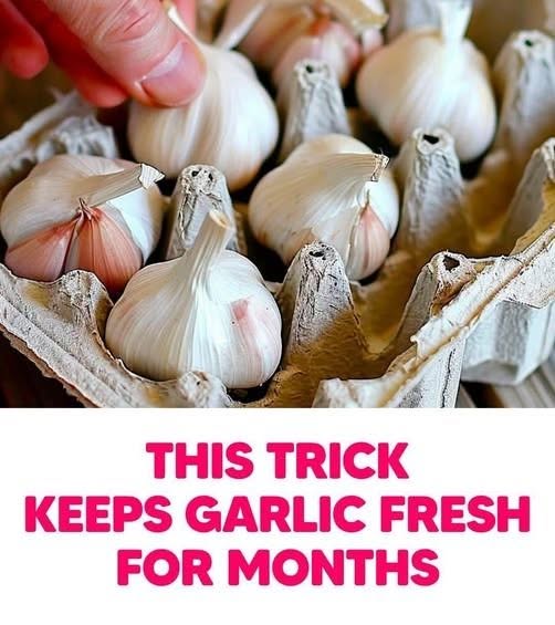 How to Properly Store Garlic: 3 Methods and Tricks to Keep it Fresh Longer