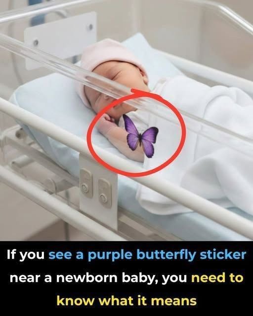 The Meaning of the Purple Butterfly Sticker Near a Newborn