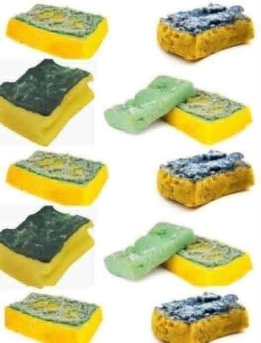 🧽 Old Sponges, Don’t Throw Them Away: “They’re Worth Gold” – Here’s Why!