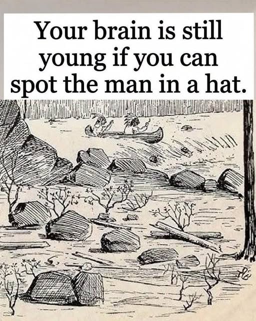 Can You Spot the Hidden Man in This Vintage Optical Illusion?