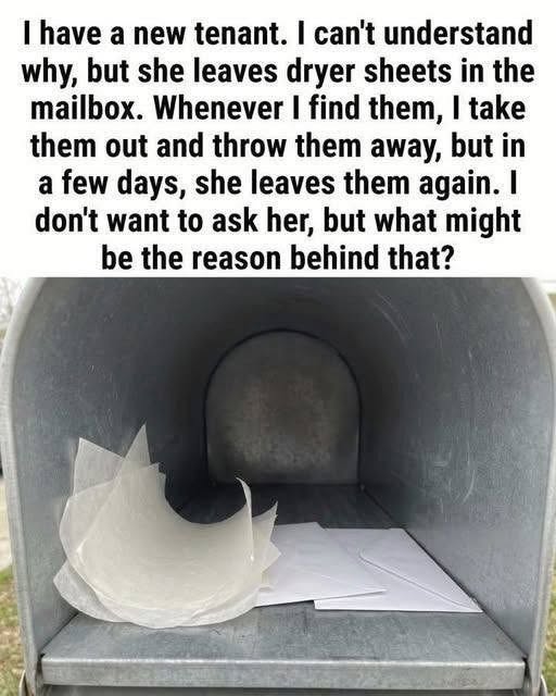 What It Means If You Find a Dryer Sheet in Your Mailbox (And Why You Should Leave It There)
