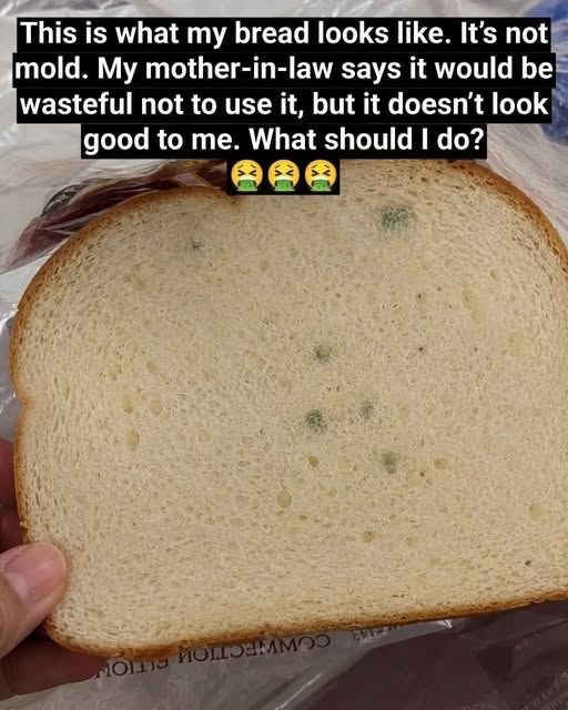 Is Stale Bread Safe to Eat? The Science, Safety, and Genius Ways to Revive It