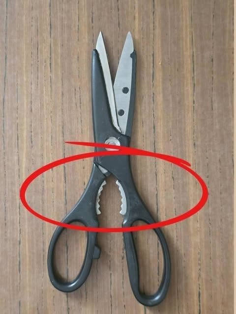 What Is That Weird Toothed Part on Kitchen Scissors For?