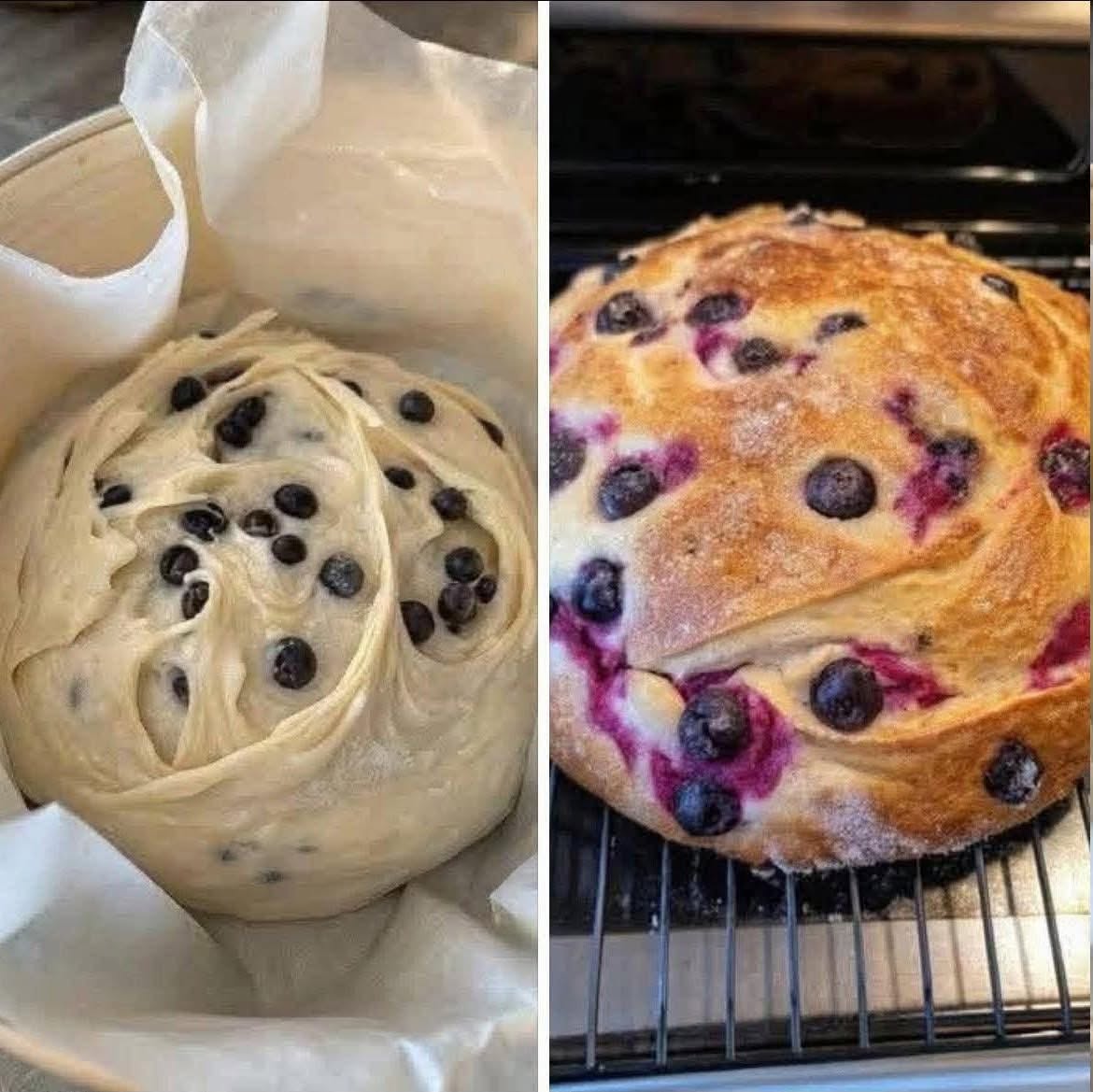 Whoever posted the blueberry cream cheese loaf recipe in here the other day…..THANK YOU!!!!! I’ve died and gone to heaven!!!