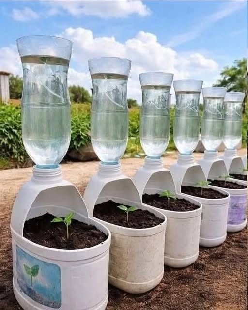Gardening and DIY ideas