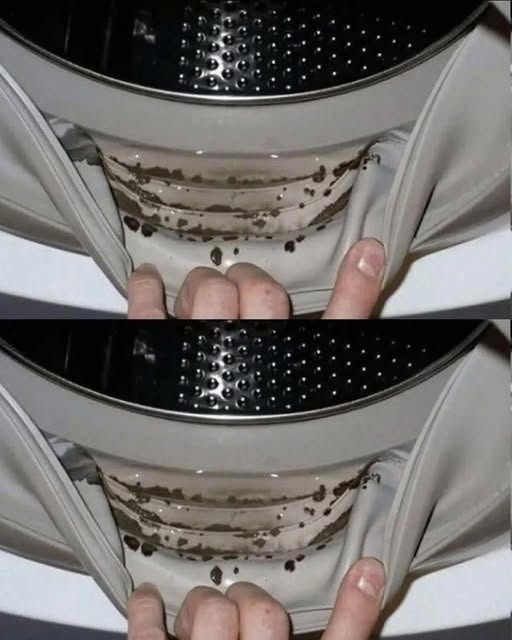 7 Mistakes Everyone Makes with Their Washing Machine