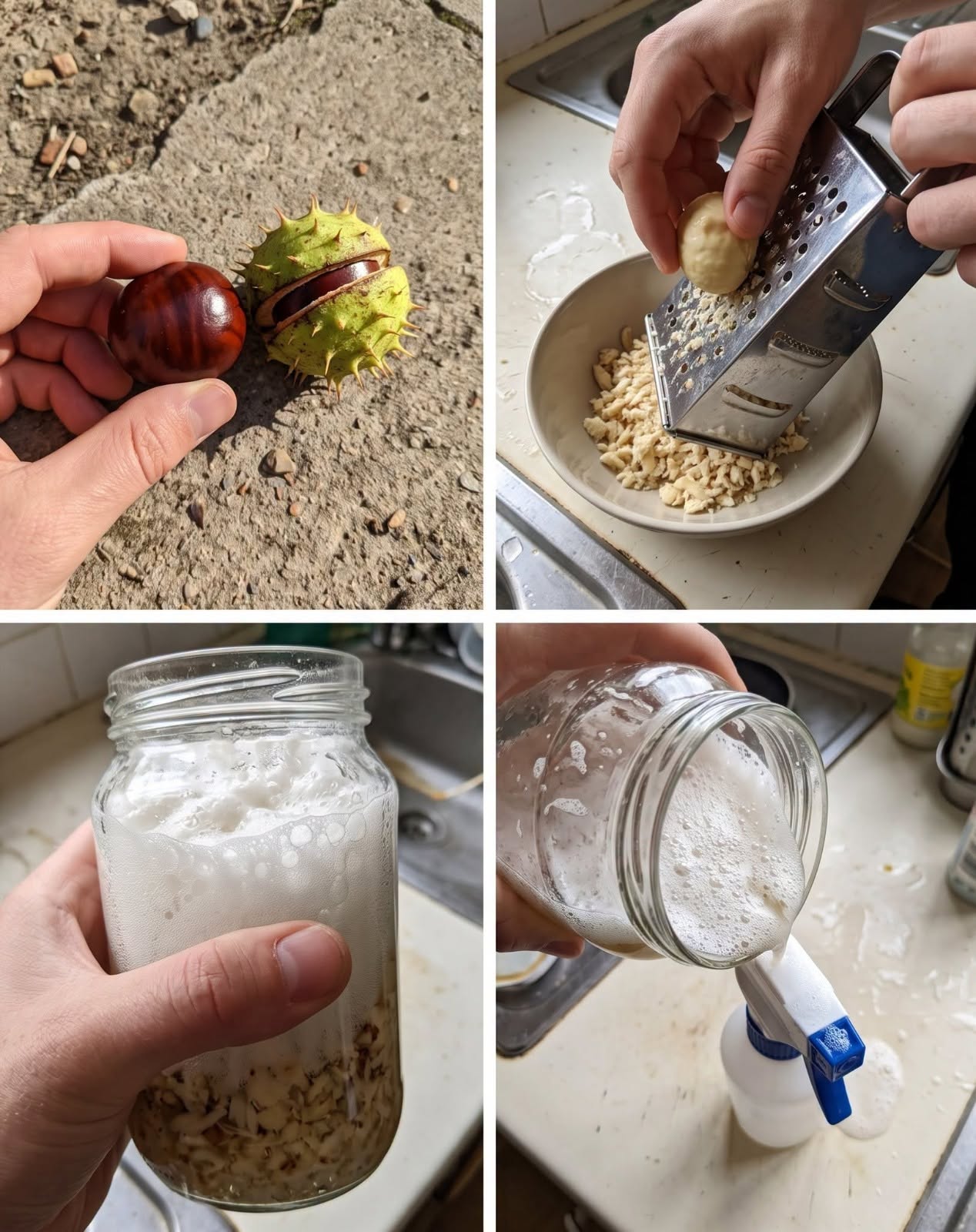 Horse Chestnut: The Strongest Natural Remedy for Swollen Legs and More…
