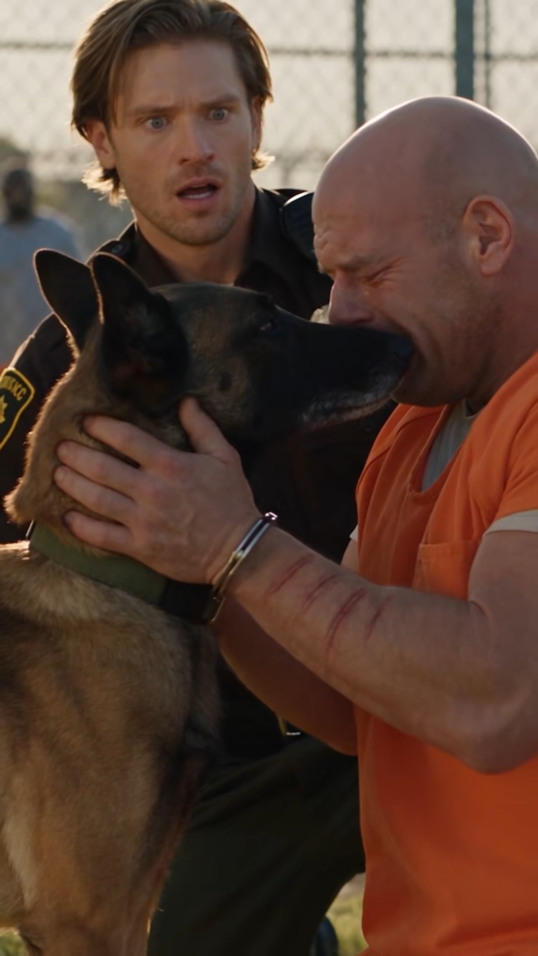 A Decorated Police Dog Went Berserk at a Memorial Ceremony—When His Handler Discovered Who the Chained Convict Was, the Entire Department Froze in Horror.