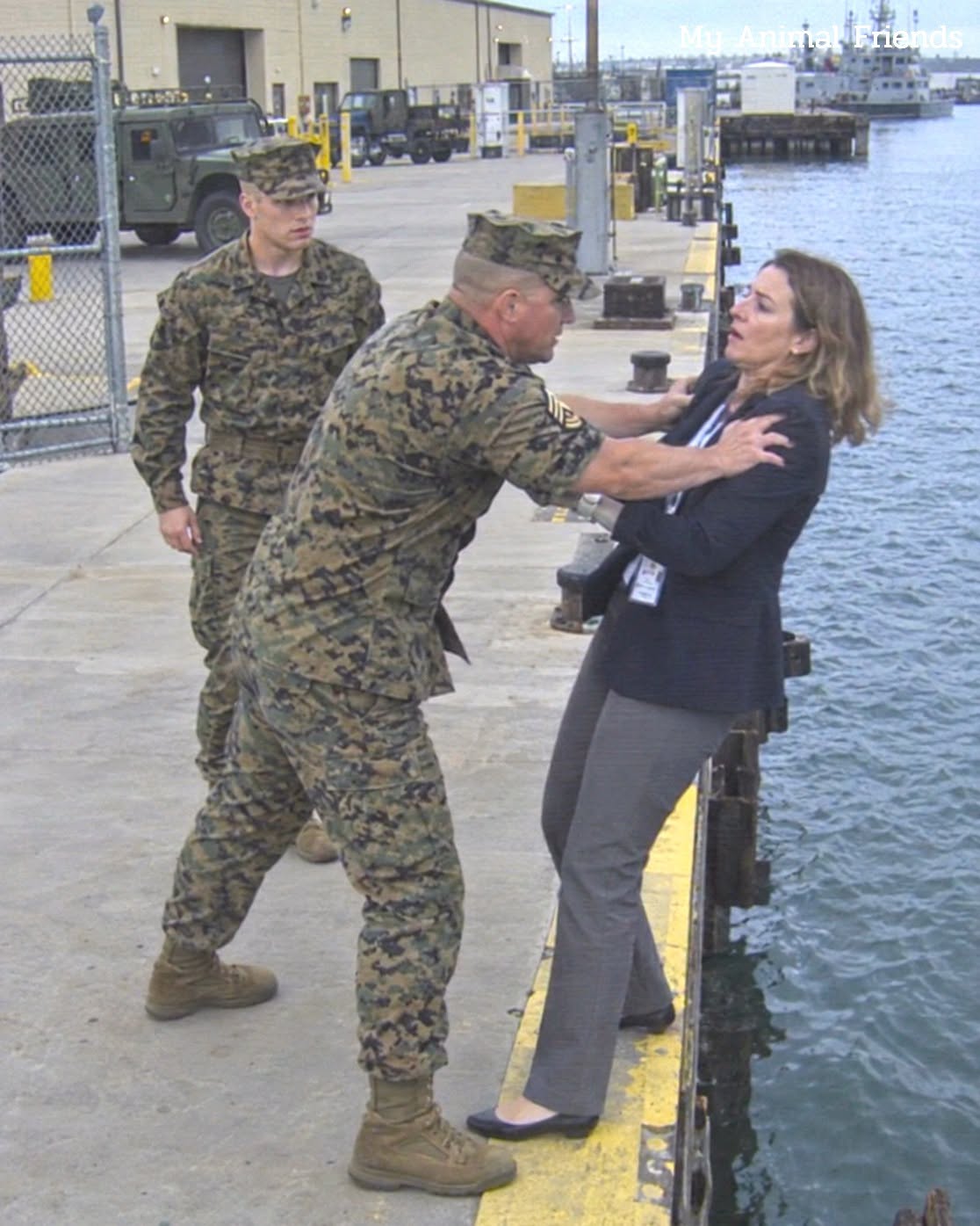 HE SHOVED AN UNDERCOVER NAVAL INVESTIGATOR OFF A MARINE PIER TO HUMILIATE HER—UNTIL THE COLONEL SAW HER FACE AND SALUTED IN SHOCK!