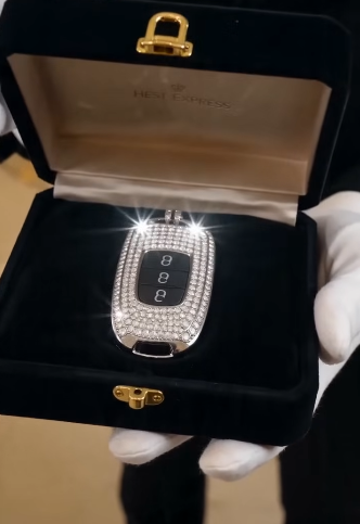 THE ARROGANT WOMAN MOCKED 1 DELIVERY MAN... THEN A VIP VELVET BOX RUINED HER