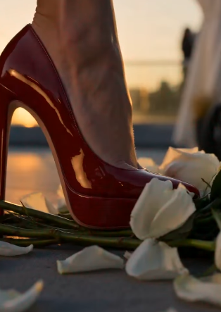 WOMAN TRAMPLED A BOUQUET OF ROSES… THEN THE MAN IN THE WHEELCHAIR STOOD UP