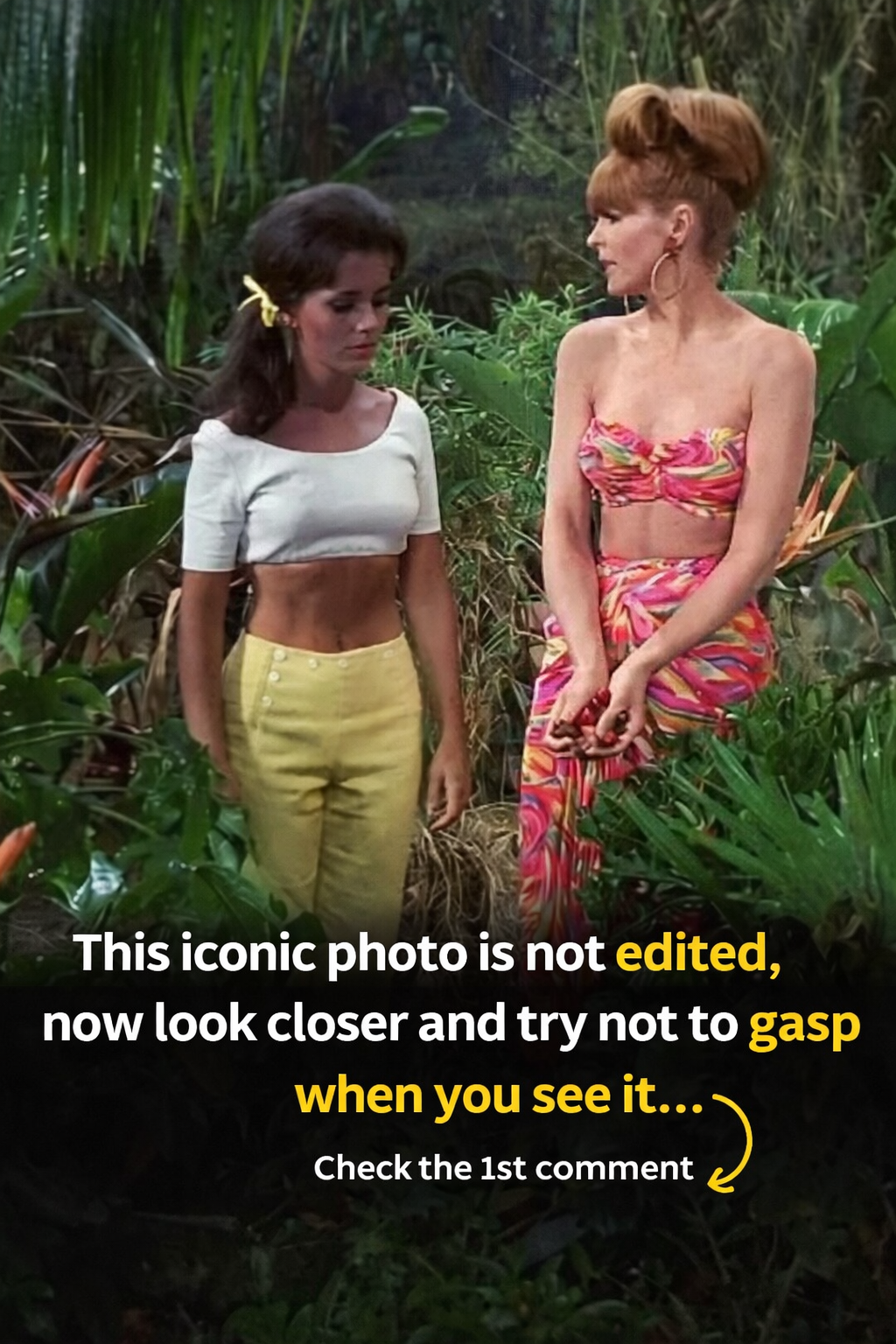 The Hidden Mistakes Forgotten Secrets and Behind the Scenes Magic That Made Gilligans Island.. - The Humor Side