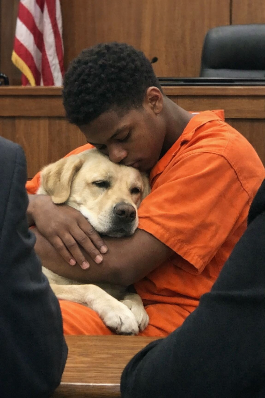 He Broke the Law to Save a Dog — and the Dog Told the Court the Truth