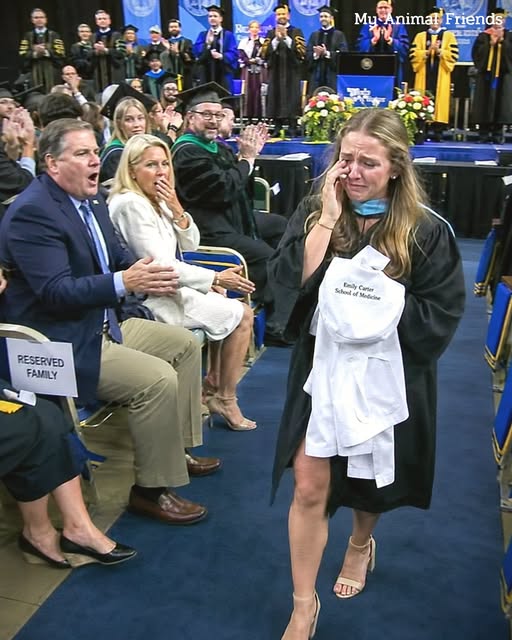 My parents abandoned me when I got cancer at 13—then showed up at my medical school graduation demanding credit… until the dean announced my name.