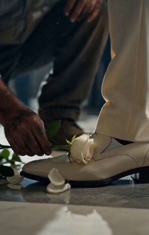 LA RAÍZ SECRETA DE LAS ROSAS BLANCAS