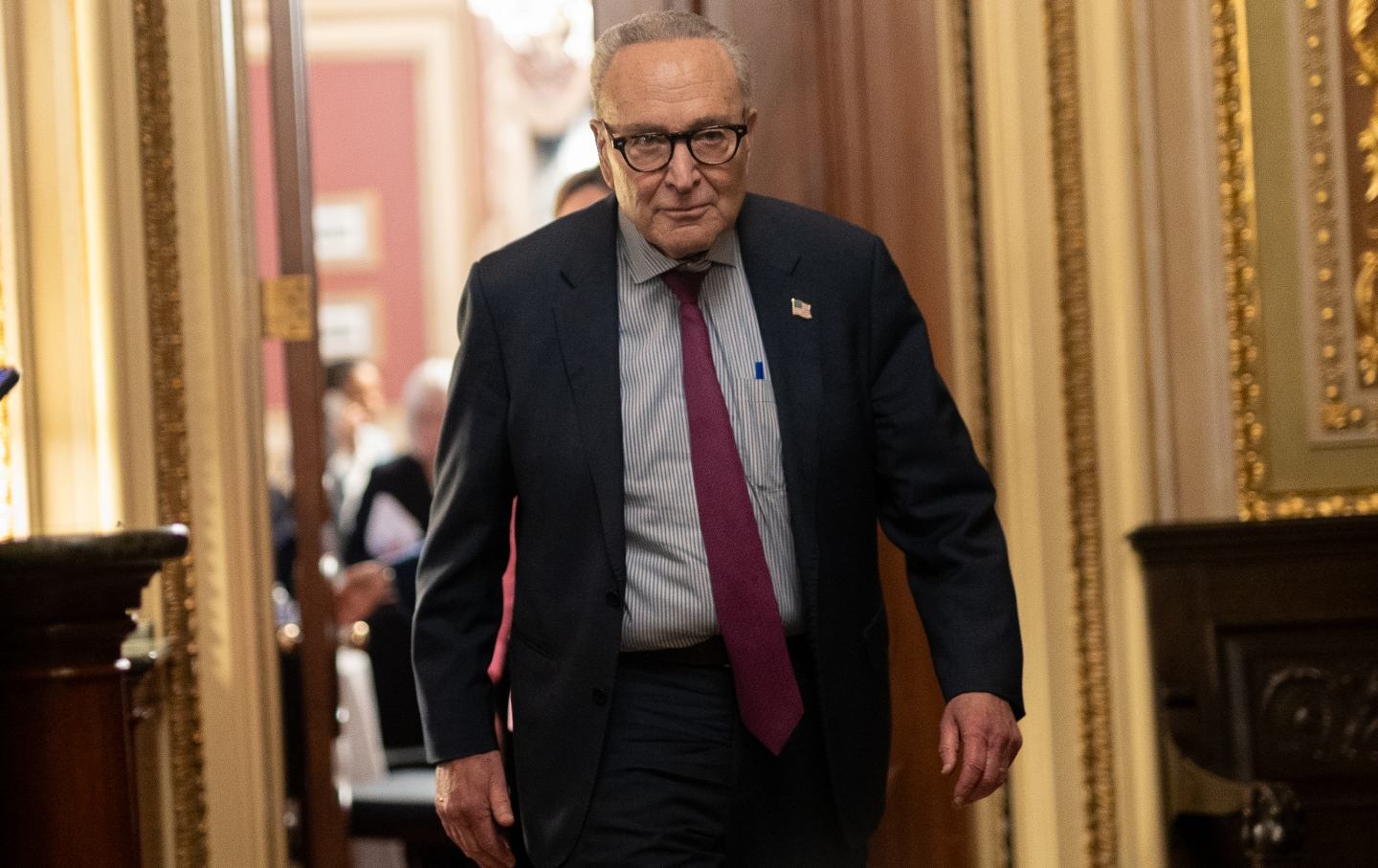 CAREER OVER – CHUCK SCHUMER’S REPLACEMENT NAMED – AND IT’S TERRIFYING