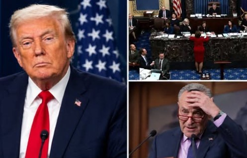WILD SENATE MOMENT AS LAWMAKERS VOTE 49-50 — IT’S SHUT DOWN