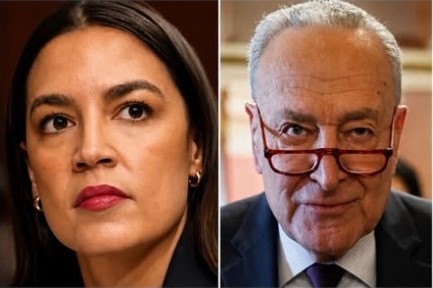 🔥 BATTLE OVER ICE ACCESS TO MEDICAID DATA ERUPTS — PUTTING DEMOCRATS IN THE MIDDLE OF A HIGH-STAKES SHOWDOWN…