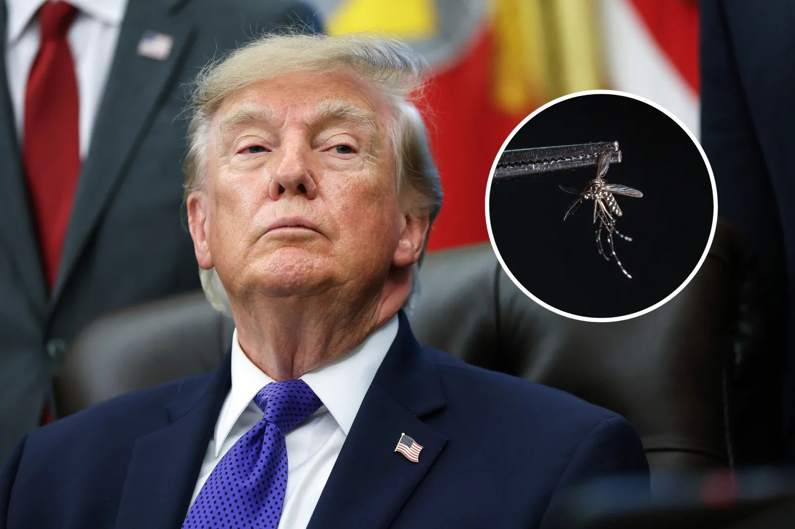 Donald Trump declares war on mosquitoes