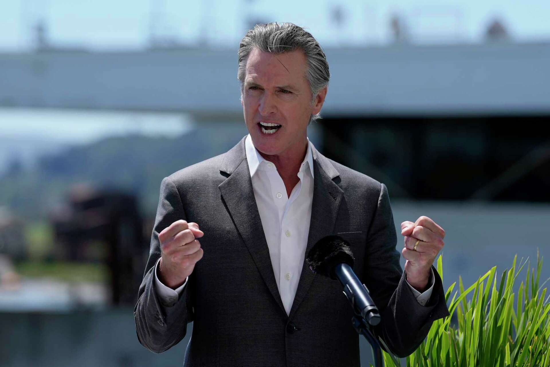 1. Election Finally Called — Gavin Newsom Is Devastated