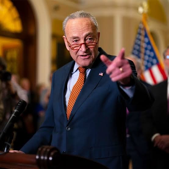 Career Over — Chuck Schumer’s Replacement Named, and It’s Terrifying 1