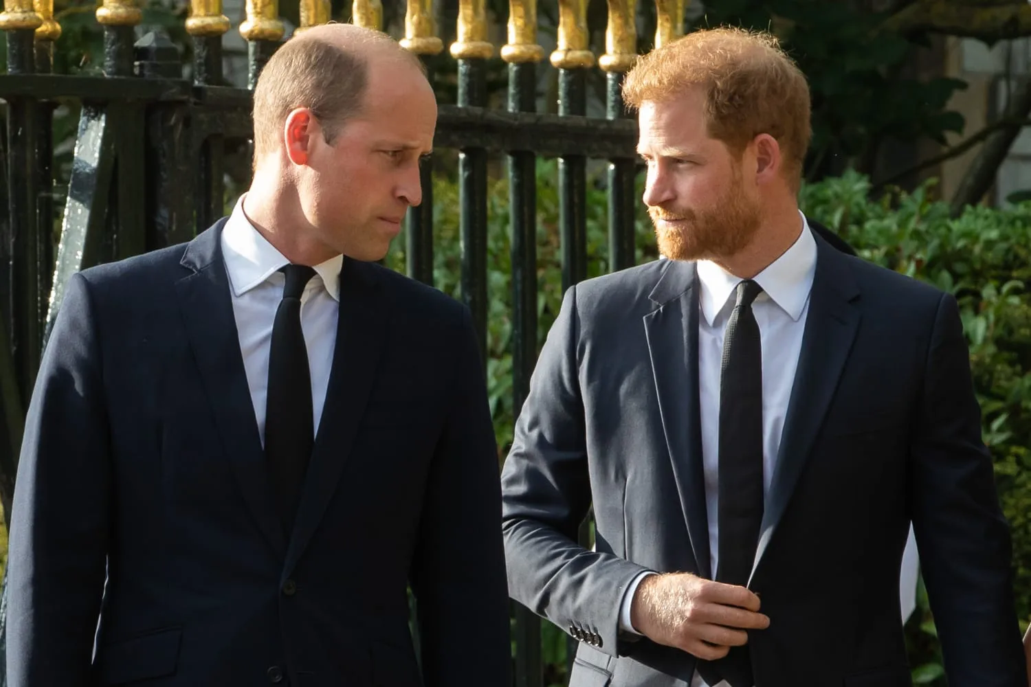 "🚨 ROYAL SHOCKER! — DEAD TO HIM?: PRINCE WILLIAM'S BRUTAL FIVE-WORD VERDICT ON HARRY AND MEGHAN!"