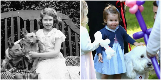 "🔥 ROYAL PLOT TWIST! — PRINCESS CHARLOTTE DISCOVERS A SECRET DIANA LEGACY IN THE PALACE!"