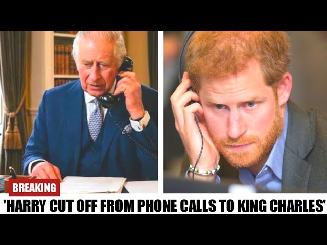 "🚨 ROYAL SHOCKER! — KING CHARLES CLOSING THE GAP WITH HARRY AS WILLIAM'S RIFT TURNS COLDER!"
