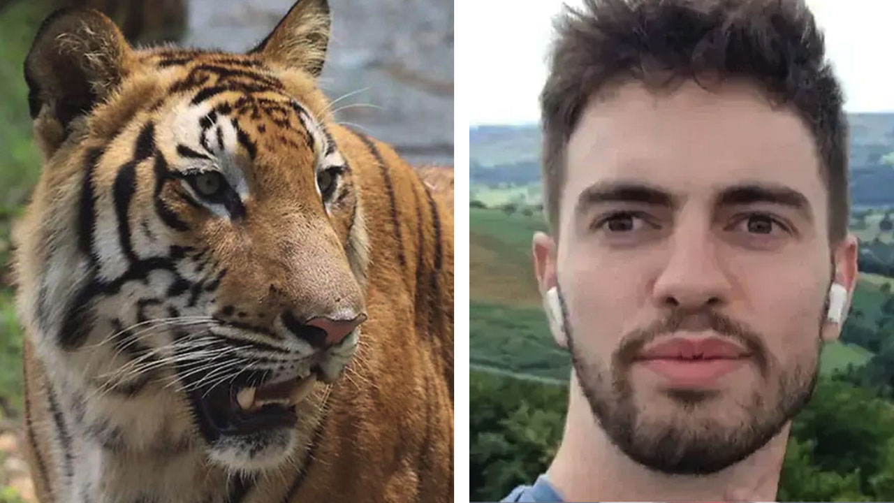"🚨 TRAGIC SHOCKER! — THE MAN WHO DIED AFTER JUMPING INTO A TIGER ENCLOSURE WAS A FORMER CHILD ACTOR!"