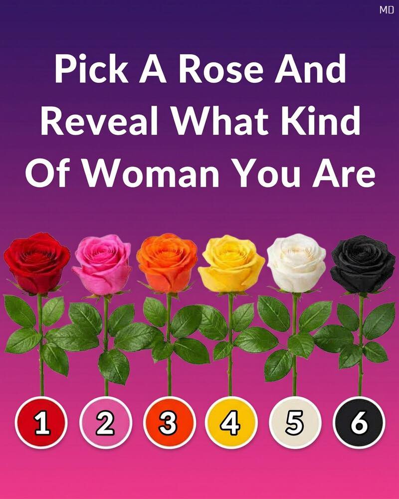 Pick a Rose and Reveal What Kind of Woman You Are
