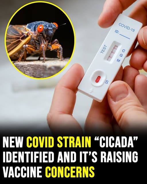 Why Experts Are Sounding the Alarm Over the New Cicada COVID Variant Emerging After Two Years Underground