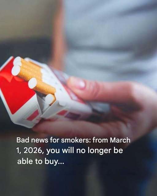 Price per pack of cigarettes: tax, margin and increase